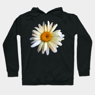 Daisies - Daisy Looking Up Hoodie